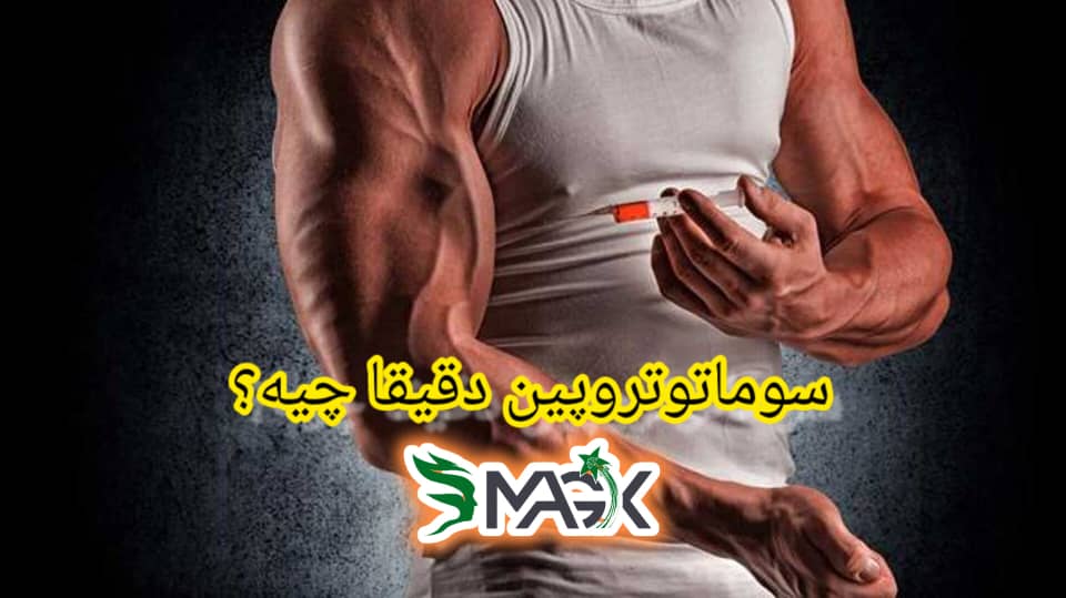 سوماتوتروپین و تاثیر آن بر لاغری